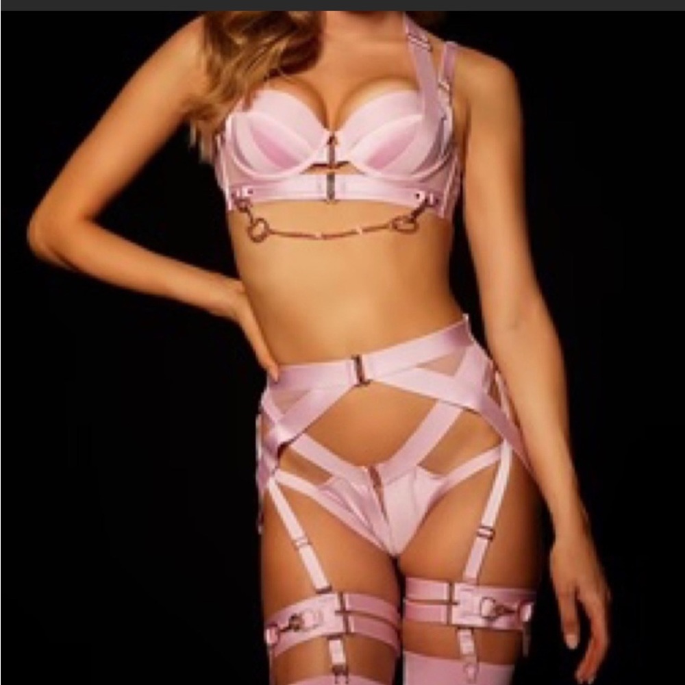 NWOT Honey Birdette Kukuro Set in discontinued color Blush. 32C/XS